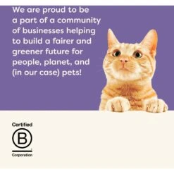 Applaws Fish Gravy Selection Multipack Limited Ingredient Cat Food Pots, 2.12-oz Pot, Case Of 8 -Almo nature Sales 836438 PT6. AC SS1800 V1687892504