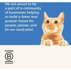 Applaws Variety Of Fish Flavors In Broth Limited Ingredient Wet Cat Food 15 Applaws Variety Of Fish Flavors In Broth Limited Ingredient Wet Cat Food -Almo nature Sales 836614 PT6. AC SS1800 V1687881322