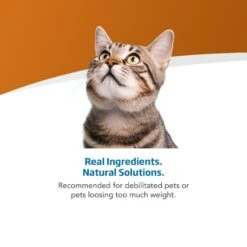 Farmina Vet Life Recoup Recipe Wet Cat Food, 3-oz Can, Case Of 12 -Almo nature Sales 838182 PT3. AC SS1800 V1703880350
