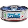 Farmina Vet Life Cat Gastrointestinal Recipe Wet Cat Food -Almo nature Sales 838198 MAIN. AC SS1800 V1703880350