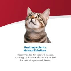 Farmina Vet Life Cat Gastrointestinal Recipe Wet Cat Food -Almo nature Sales 838198 PT3. AC SS1800 V1703880289
