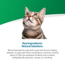 Farmina Vet Life Cat Renal Recipe In Gravy Wet Cat Food 12 Farmina Vet Life Cat Renal Recipe In Gravy Wet Cat Food -Almo nature Sales 838214 PT3. AC SS1800 V1703880289