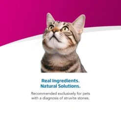 Farmina Vet Life Cat Urinary St/Control Recipe In Gravy Wet Cat Food 12 Farmina Vet Life Cat Urinary St/Control Recipe In Gravy Wet Cat Food -Almo nature Sales 838230 PT3. AC SS1800 V1703880290