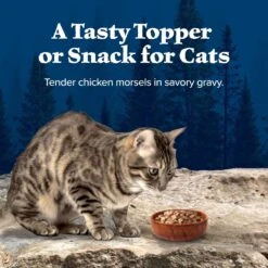 Blue Buffalo Wilderness Tasty Toppers Wild Cuts Tasty Chicken Morsels In Savory Gravy Grain-Free Cat Food Topper -Almo nature Sales 84183 PT3. AC SS1800 V1646796387