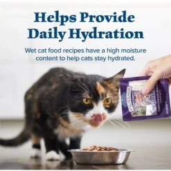 Blue Buffalo Wilderness Tasty Toppers Wild Cuts Tasty Chicken Morsels In Savory Gravy Grain-Free Cat Food Topper -Almo nature Sales 84183 PT6. AC SS1800 V1646790690