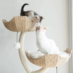 Mau Lifestyle Ivy 3, 53-in Modern Cat Tree, Natural -Almo nature Sales 842054 PT2. AC SS1800 V1682609109