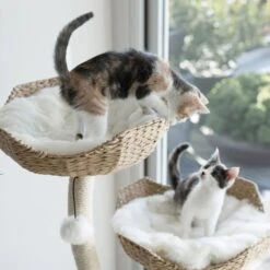Mau Lifestyle Ivy 3, 53-in Modern Cat Tree, Natural -Almo nature Sales 842054 PT3. AC SS1800 V1682609109