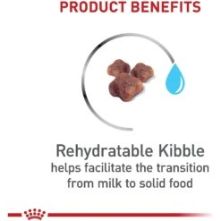 Royal Canin Feline Health Nutrition Mother & Babycat Dry Cat Food & Royal Canin Feline Health Nutrition Mother & Babycat Ultra Soft Mousse In Sauce Canned Cat Food -Almo nature Sales 854358 PT4. AC SS1800 V1683744317