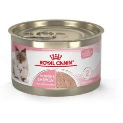 Royal Canin Feline Health Nutrition Mother & Babycat Dry Cat Food & Royal Canin Feline Health Nutrition Mother & Babycat Ultra Soft Mousse In Sauce Canned Cat Food -Almo nature Sales 854358 PT5. AC SS1800 V1683744315