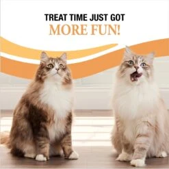 Good 'n' Tasty Savory Spoonables Triple Flavor Variety Pack Lickable Cat Treat -Almo nature Sales 867622 PT6. AC SS1800 V1691514807