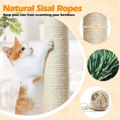 Yaheetech 57-in Cat Tree For Indoor Cats -Almo nature Sales 871742 PT6. AC SS1800 V1686250365