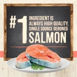 Merrick Limited Ingredient Diet Grain-Free Real Salmon Pate Recipe Canned Cat Food -Almo nature Sales 87837 PT2. AC SS1800 V1696263366