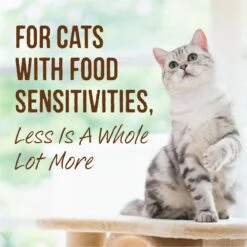 Merrick Limited Ingredient Diet Grain-Free Real Duck Pate Recipe Canned Cat Food 17 Merrick Limited Ingredient Diet Grain-Free Real Duck Pate Recipe Canned Cat Food -Almo nature Sales 87841 PT6. AC SS1800 V1696265211