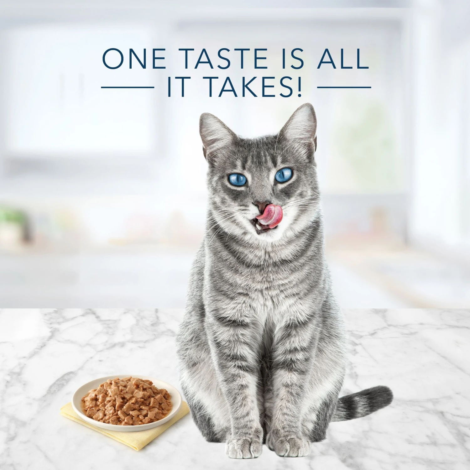 Blue Buffalo Tastefuls Natural Flaked Tuna Entree Wet Cat Food, 3-oz Can, Case Of 12 6 Blue Buffalo Tastefuls Natural Flaked Tuna Entree Wet Cat Food, 3-oz Can, Case Of 12 - Image 4