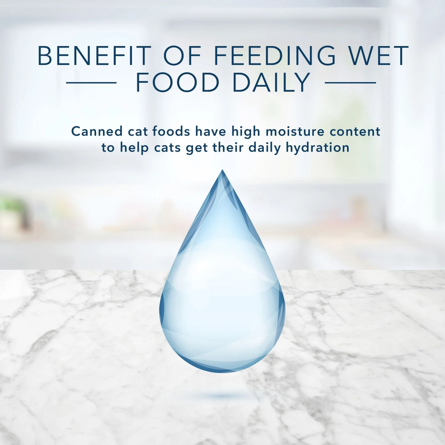 Blue Buffalo Tastefuls Natural Flaked Tuna Entree Wet Cat Food, 3-oz Can, Case Of 12 9 Blue Buffalo Tastefuls Natural Flaked Tuna Entree Wet Cat Food, 3-oz Can, Case Of 12 - Image 7