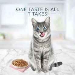 Blue Buffalo Tastefuls Natural Tender Morsels Chicken Entree Wet Cat Food, 3-oz Can, Case Of 12 -Almo nature Sales 879390 PT3. AC SS1800 V1687358516