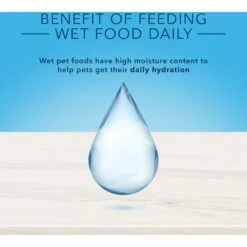Blue Buffalo True Solutions Fab Feline Natural Indoor Adult Chicken Entree Wet Cat Food, 3-oz Can, Case Of 12 -Almo nature Sales 879470 PT6. AC SS1800 V1687357626