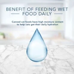 Blue Buffalo Tastefuls Natural Kitten Pate Chicken Entree Wet Cat Food Multi-Pack, 3-oz Can, Case Of 6 13 Blue Buffalo Tastefuls Natural Kitten Pate Chicken Entree Wet Cat Food Multi-Pack, 3-oz Can, Case Of 6 -Almo nature Sales 879486 PT5. AC SS1800 V1694720287