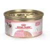 Royal Canin Feline Health Nutrition Kitten Loaf In Sauce Canned Cat Food -Almo nature Sales 88020 MAIN. AC SS1800 V1697732931