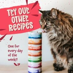 Earthborn Holistic Ranch House Stew Grain-Free Natural Canned Cat & Kitten Food 13 Earthborn Holistic Ranch House Stew Grain-Free Natural Canned Cat & Kitten Food -Almo nature Sales 88116 PT7. AC SS1800 V1684524260