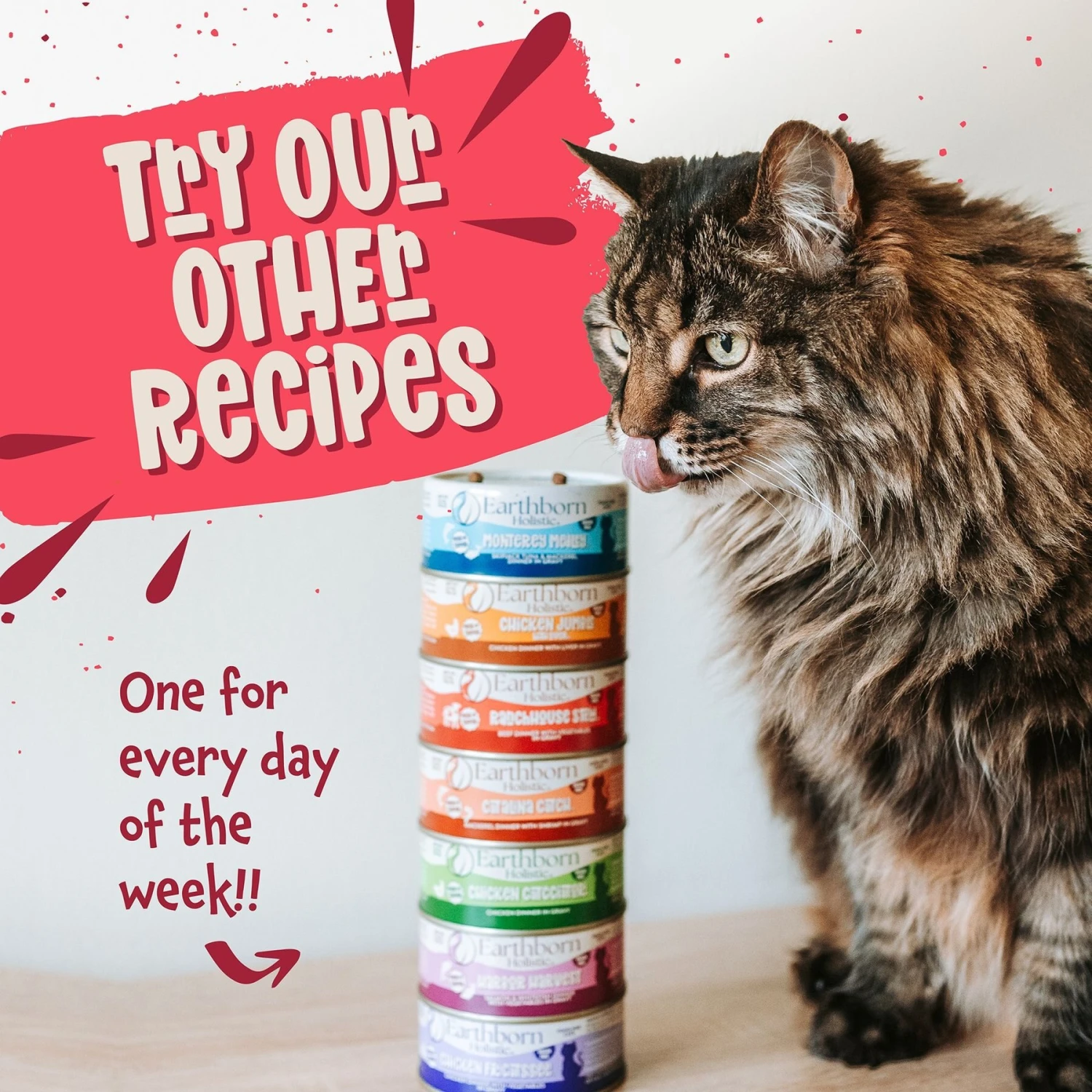 Earthborn Holistic Ranch House Stew Grain-Free Natural Canned Cat & Kitten Food 8 Earthborn Holistic Ranch House Stew Grain-Free Natural Canned Cat & Kitten Food - Image 6