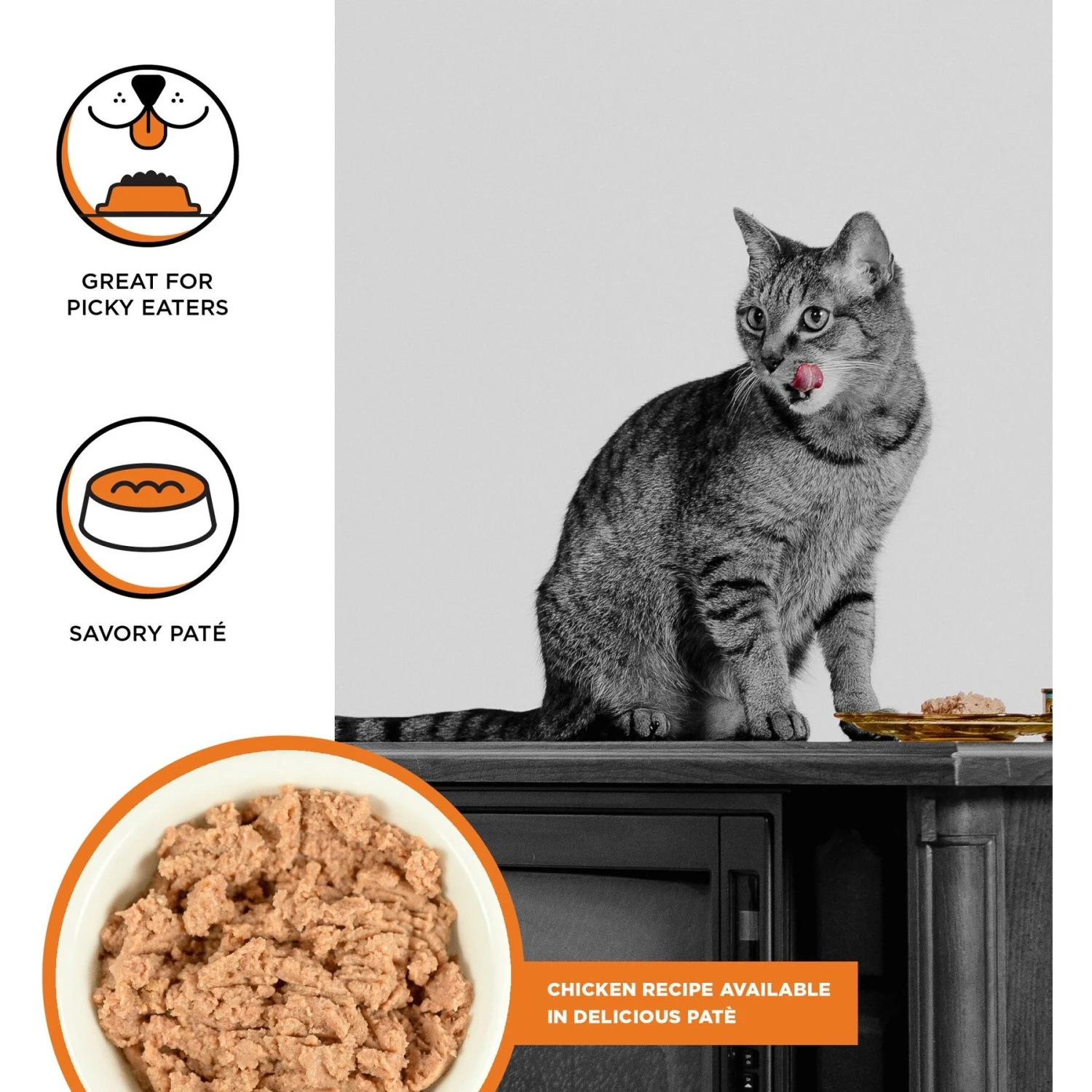 BIXBI Rawbble Chicken Pate Wet Food For Cats, 2.75-oz Can, Case Of 24 4 BIXBI Rawbble Chicken Pate Wet Food For Cats, 2.75-oz Can, Case Of 24 - Image 2