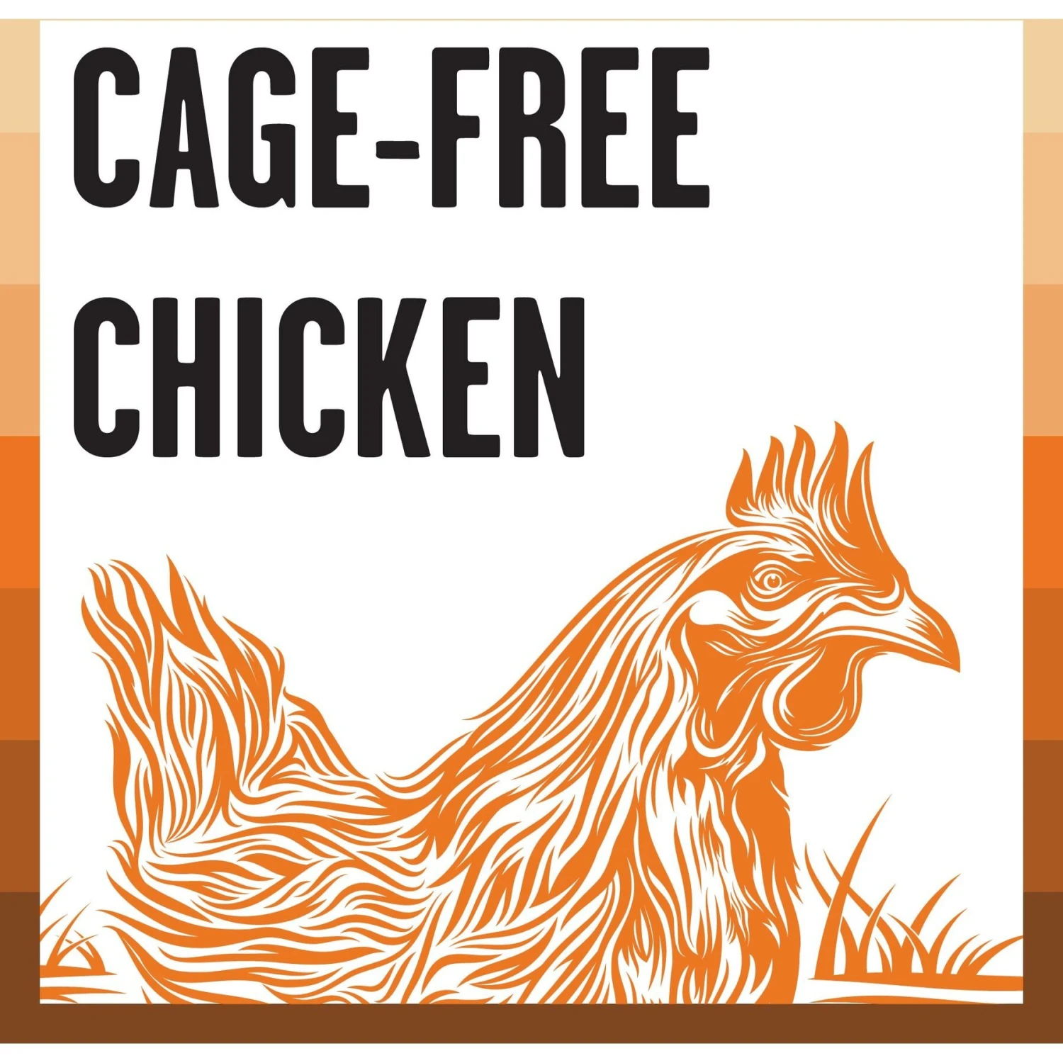 BIXBI Rawbble Chicken Pate Wet Food For Cats, 2.75-oz Can, Case Of 24 5 BIXBI Rawbble Chicken Pate Wet Food For Cats, 2.75-oz Can, Case Of 24 - Image 3