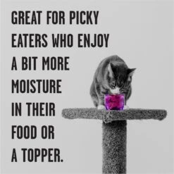 BIXBI Rawbble Tuna Pate Wet Food For Cats, 2.75-oz Can, Case Of 24 -Almo nature Sales 895310 PT3. AC SS1800 V1689017848