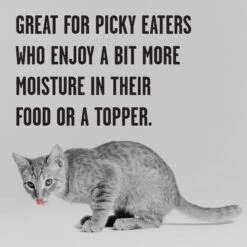 BIXBI Rawbble Chicken Pate Wet Food For Kittens, 2.75-oz Can, Case Of 24 -Almo nature Sales 895326 PT4. AC SS1800 V1689010876