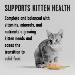 BIXBI Rawbble Chicken Pate Wet Food For Kittens, 5-oz Can, Case Of 24 10 BIXBI Rawbble Chicken Pate Wet Food For Kittens, 5-oz Can, Case Of 24 -Almo nature Sales 895454 PT2. AC SS1800 V1689017845