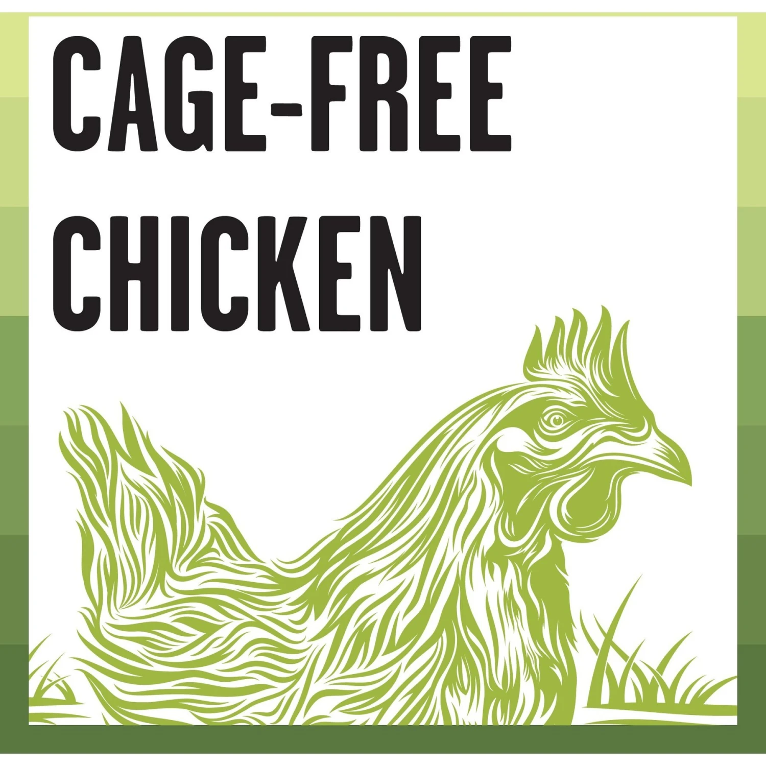 BIXBI Rawbble Chicken Pate Wet Food For Kittens, 5-oz Can, Case Of 24 6 BIXBI Rawbble Chicken Pate Wet Food For Kittens, 5-oz Can, Case Of 24 - Image 4