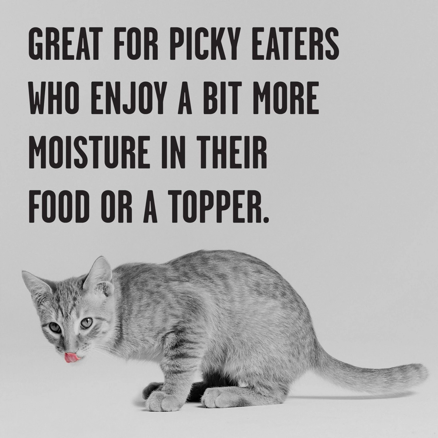 BIXBI Rawbble Chicken Pate Wet Food For Kittens, 5-oz Can, Case Of 24 7 BIXBI Rawbble Chicken Pate Wet Food For Kittens, 5-oz Can, Case Of 24 - Image 5