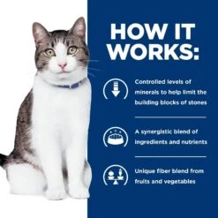 Hill's Prescription Diet C/d Multicare + Metabolic Vegetable & Chicken Stew Canned Cat Food 17 Hill's Prescription Diet C/d Multicare + Metabolic Vegetable & Chicken Stew Canned Cat Food -Almo nature Sales 89570 PT6. AC SS1800 V1615594631