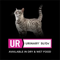 Purina Pro Plan Veterinary Diets UR Urinary St/Ox Savory Selects Salmon In Sauce Wet Cat Food -Almo nature Sales 89777 PT5. AC SS1800 V1700156713