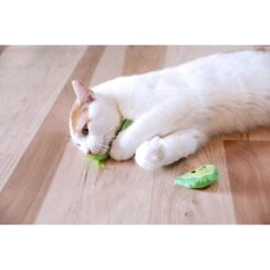 Quirky Kitty Meowgarita Time Catnip Plush Cat Toy, 2 Count -Almo nature Sales 900374 PT2. AC SS1800 V1689017287