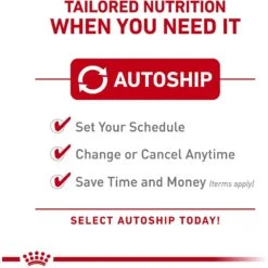 Royal Canin Veterinary Diet Adult Renal Support T Thin Slices In Gravy Canned Cat Food 17 Royal Canin Veterinary Diet Adult Renal Support T Thin Slices In Gravy Canned Cat Food -Almo nature Sales 90655 PT6. AC SS1800 V1701882439