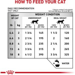 Royal Canin Veterinary Diet Adult Renal Support T Thin Slices In Gravy Canned Cat Food 18 Royal Canin Veterinary Diet Adult Renal Support T Thin Slices In Gravy Canned Cat Food -Almo nature Sales 90655 PT7. AC SS1800 V1701882382