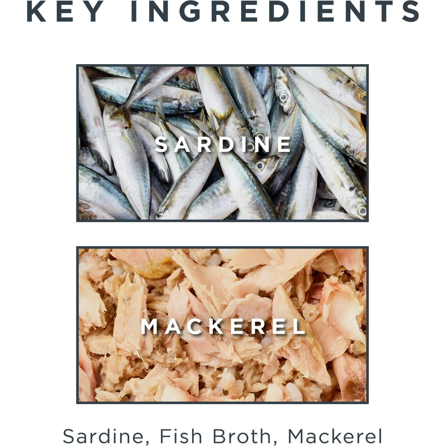 Reveal Natural Grain-Free Tuna With Shrimp In Broth Flavored Wet Cat Food, 2.12-oz Pot, Case Of 18 & Reveal Natural Grain-Free Sardine With Mackerel In Broth Flavored Wet Cat Food, 2.12-oz Pot, Case Of 18 11 Reveal Natural Grain-Free Tuna With Shrimp In Broth Flavored Wet Cat Food, 2.12-oz Pot, Case Of 18 & Reveal Natural Grain-Free Sardine With Mackerel In Broth Flavored Wet Cat Food, 2.12-oz Pot, Case Of 18 - Image 9