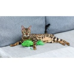 Dr. Seuss Two Fish Catnip Kicker Cat Toy, Multicolor -Almo nature Sales 907894 PT4. AC SS1800 V1697040774