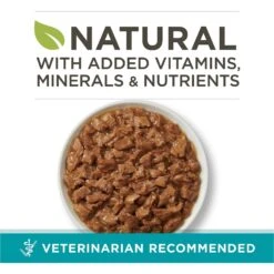 Purina ONE True Instinct Tuna Recipe In Sauce Natural High Protein Canned Cat Food, 3-oz, Case Of 24 -Almo nature Sales 91713 PT1. AC SS1800 V1653500188