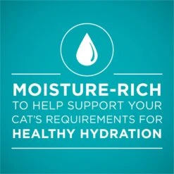 Purina ONE True Instinct Tuna Recipe In Sauce Natural High Protein Canned Cat Food, 3-oz, Case Of 24 -Almo nature Sales 91713 PT2. AC SS1800 V1657661113