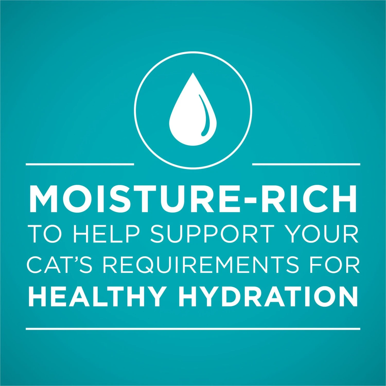 'Purina ONE Natural Weight Control Ideal Weight Tender Salmon Recipe Wet Cat Food 5 'Purina ONE Natural Weight Control Ideal Weight Tender Salmon Recipe Wet Cat Food - Image 3