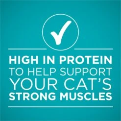 'Purina ONE Natural Weight Control Ideal Weight Tender Salmon Recipe Wet Cat Food 16 'Purina ONE Natural Weight Control Ideal Weight Tender Salmon Recipe Wet Cat Food -Almo nature Sales 91747 PT5. AC SS1800 V1658207462