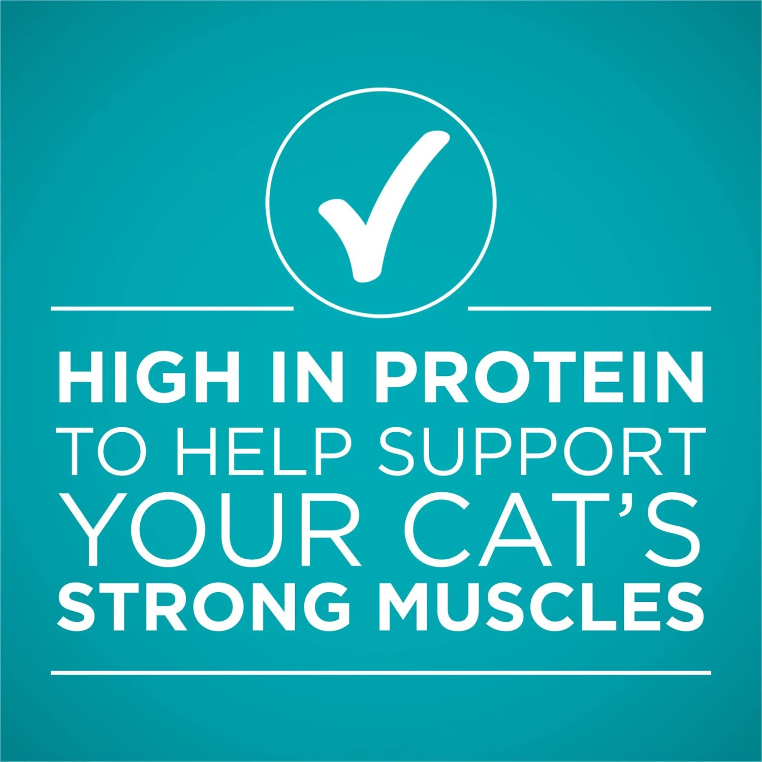 'Purina ONE Natural Weight Control Ideal Weight Tender Salmon Recipe Wet Cat Food 8 'Purina ONE Natural Weight Control Ideal Weight Tender Salmon Recipe Wet Cat Food - Image 6