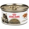 Royal Canin Feline Breed Nutrition Maine Coon Adult Thin Slices In Gravy Wet Cat Food, 3-oz Can, Case Of 24 -Almo nature Sales 918398 MAIN. AC SS1800 V1691781772
