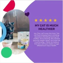 I And Love And You Variety Pack Grain-Free Canned Cat Food 14 I And Love And You Variety Pack Grain-Free Canned Cat Food -Almo nature Sales 93540 PT3. AC SS1800 V1692388808