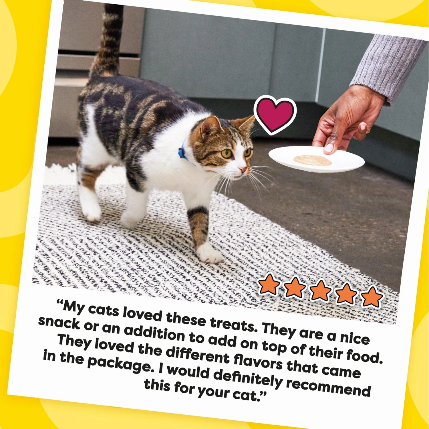 Temptations Creamy Puree Variety Pack Lickable Cat Treats, 12-g Pouch, Pack Of 48 11 Temptations Creamy Puree Variety Pack Lickable Cat Treats, 12-g Pouch, Pack Of 48 - Image 9