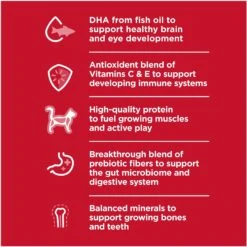 Hill's Science Diet Kitten Healthy Cuisine Tender Chicken & Rice Medley Canned Cat Food 14 Hill's Science Diet Kitten Healthy Cuisine Tender Chicken & Rice Medley Canned Cat Food -Almo nature Sales 94018 PT3. AC SS1800 V1693497930