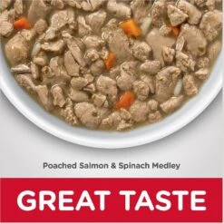 Hill's Science Diet Adult Healthy Cuisine Poached Salmon & Spinach Medley Canned Cat Food -Almo nature Sales 94020 PT5. AC SS1800 V1598149599