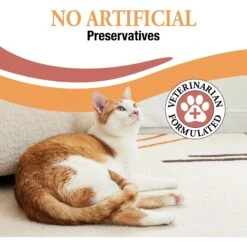 Good 'n' Tasty Savory Spoonables Chicken, Salmon & Duck Lickable Cat Treat 15 Good 'n' Tasty Savory Spoonables Chicken, Salmon & Duck Lickable Cat Treat -Almo nature Sales 953390 PT4. AC SS1800 V1698869130